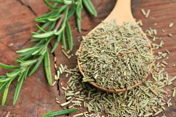 Dried Rosemary Leaves