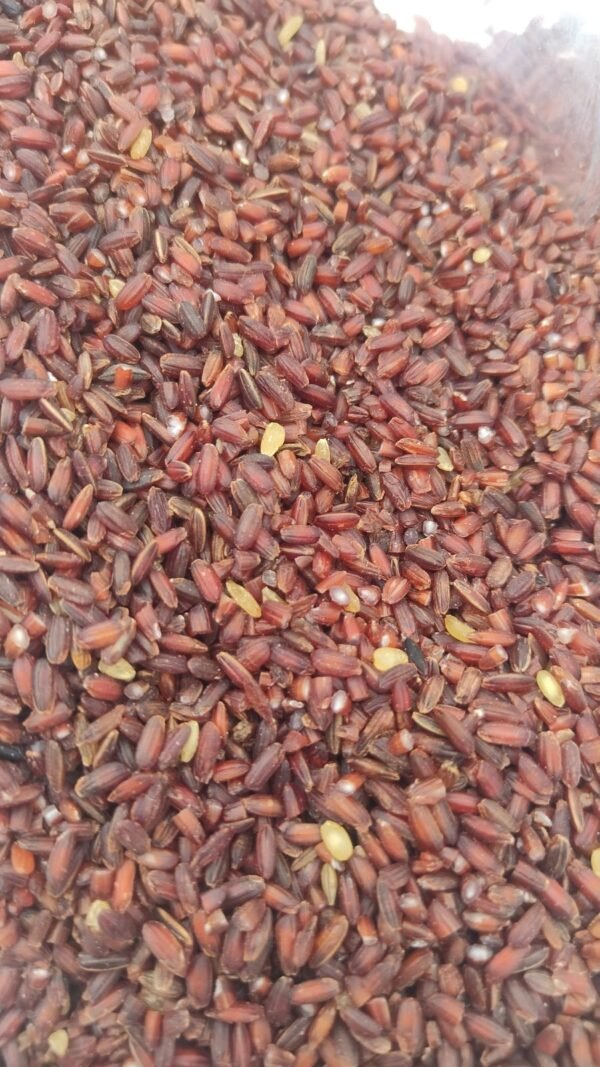 Mappillai Samba traditional Tamil red rice grains