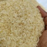 Golden Thangasamba traditional rice grains