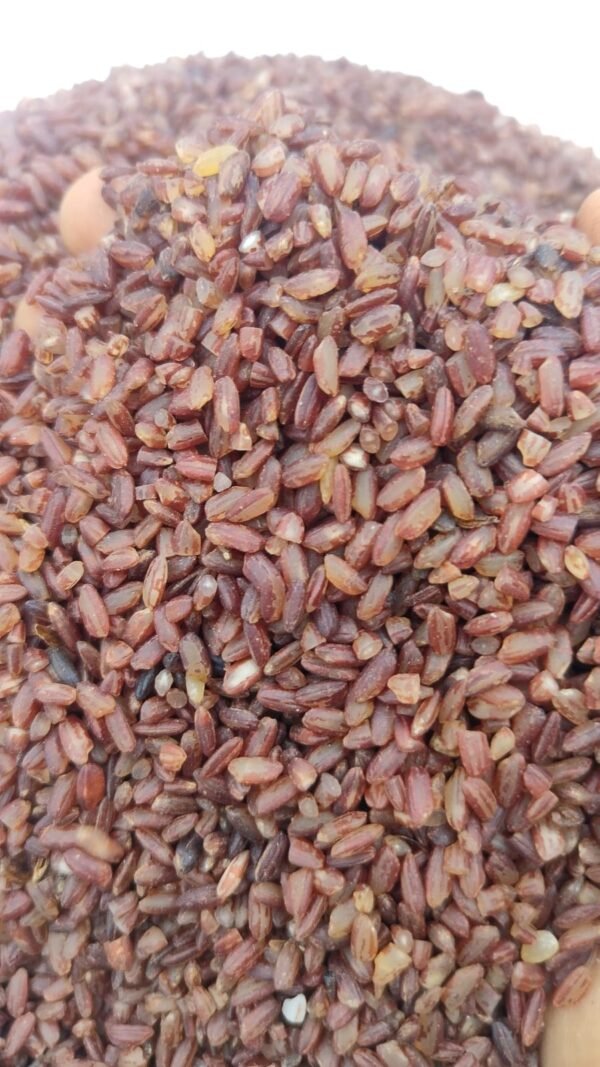 Agathin Mozhi Karuguruvai rice – diabetic friendly