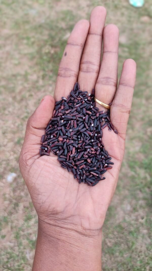 Agathin Mozhi Karupu Kavuni black rice