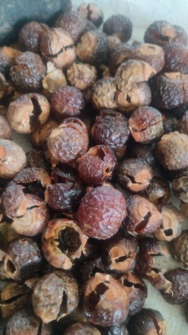 Agathin Mozhi deseeded soapnuts natural cleanser